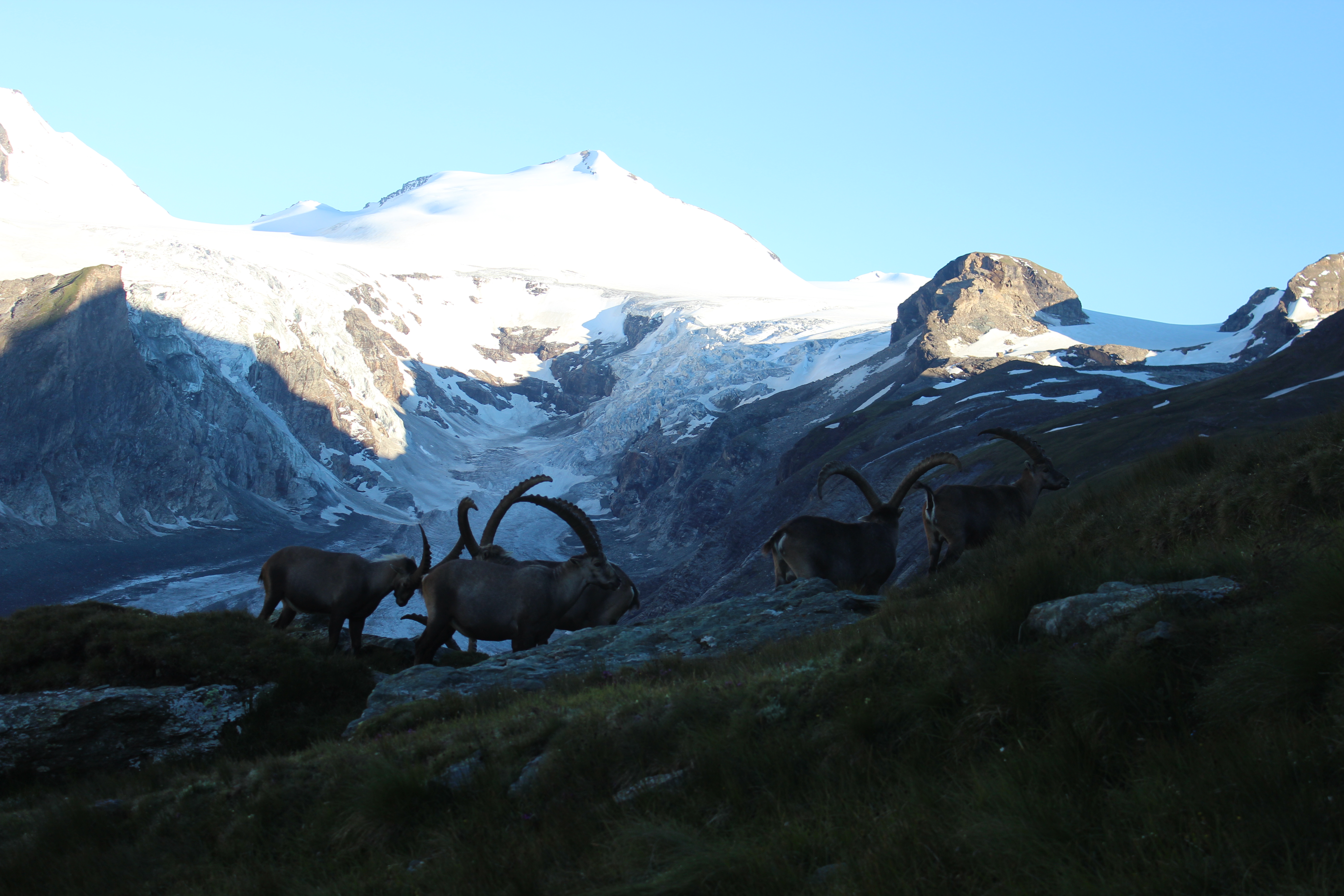 Natur Pur Genießen